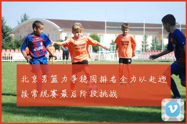 北京男篮力争稳固排名全力以赴迎接常规赛最后阶段挑战