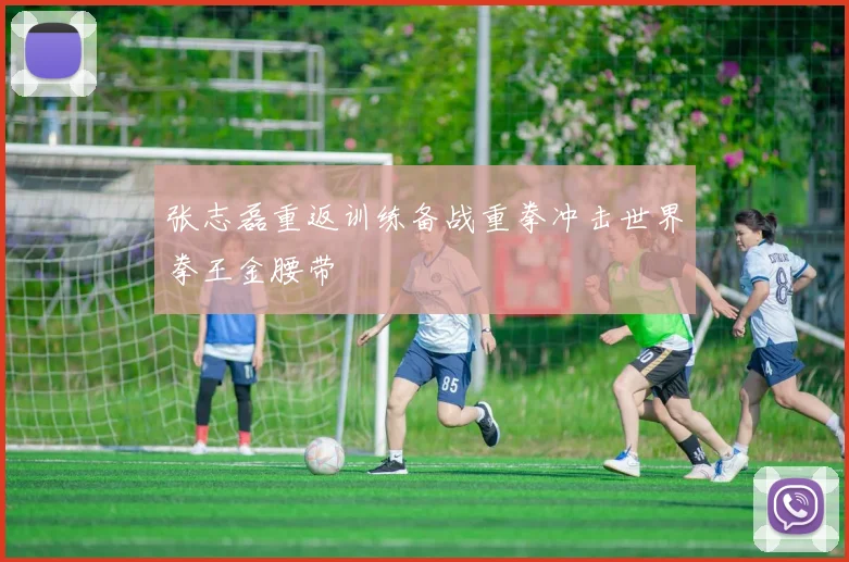 张志磊重返训练备战重拳冲击世界拳王金腰带