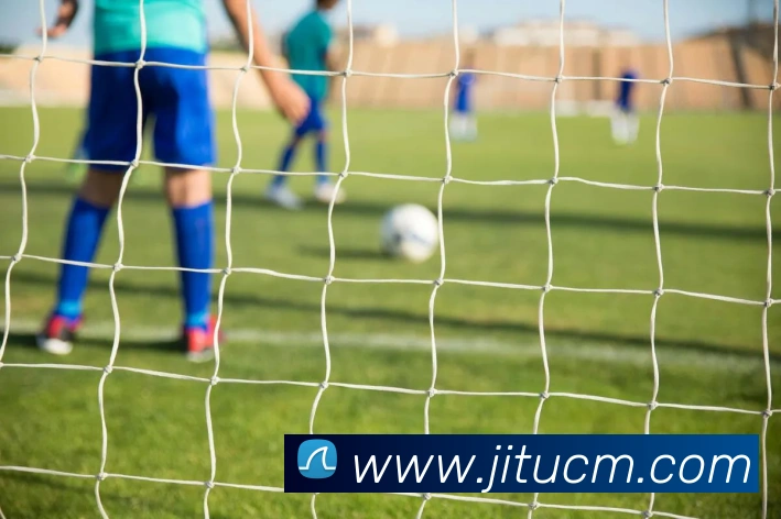 星空电竞官网平台生态图